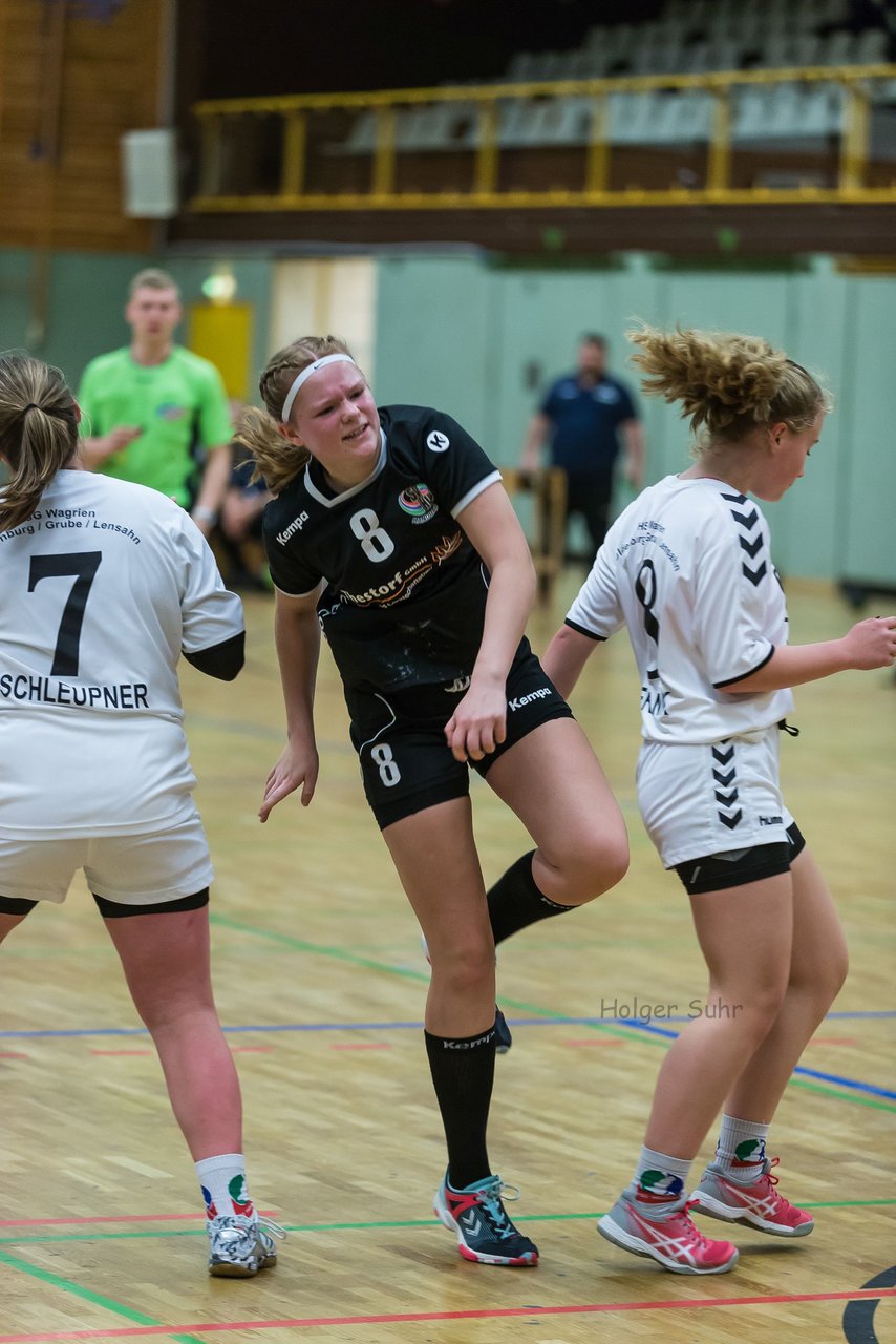 Bild 92 - C-Juniorinnen SVHU - HSD Wagrien : Ergebnis: 30:15